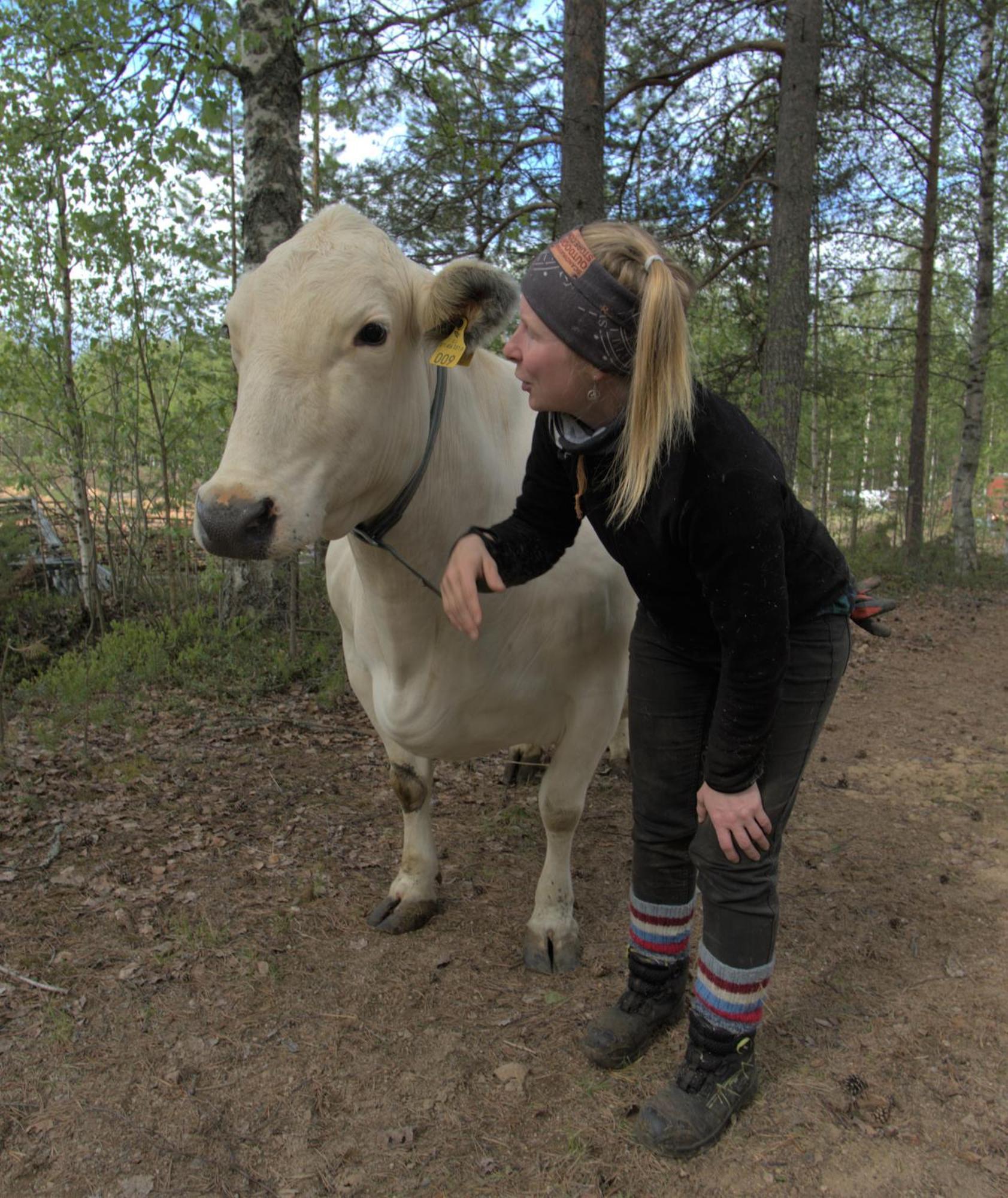 ペッロ Heidin Mummola Farmヴィラ エクステリア 写真