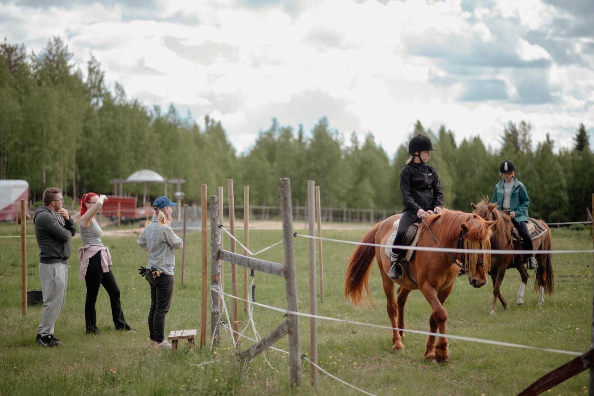 ペッロ Heidin Mummola Farmヴィラ エクステリア 写真