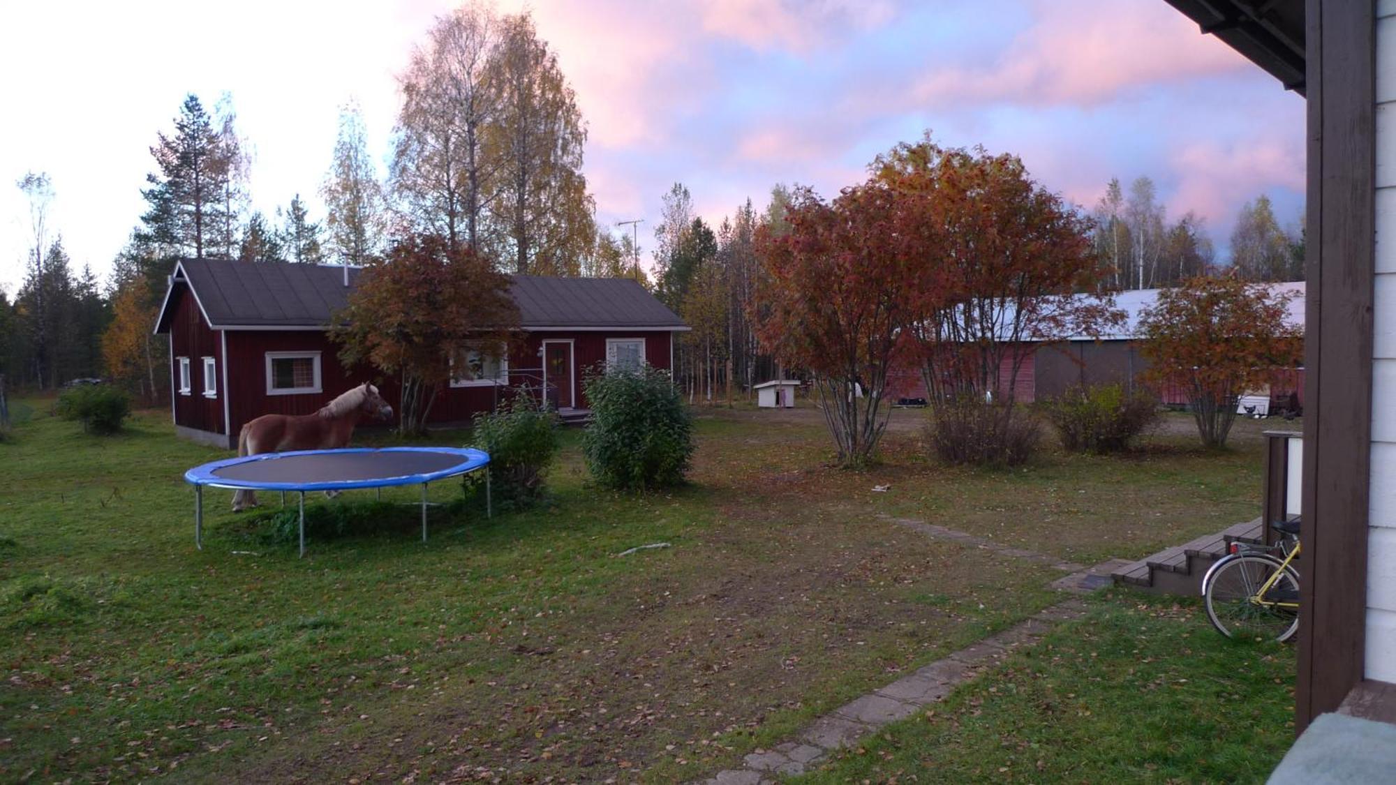 ペッロ Heidin Mummola Farmヴィラ エクステリア 写真